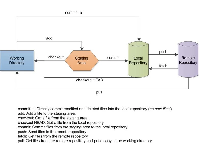 Use Git on Linux