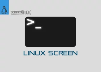 Install and Use Linux Screen