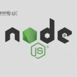 Install Node.js on Rocky Linux