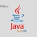 Install Java on Ubuntu
