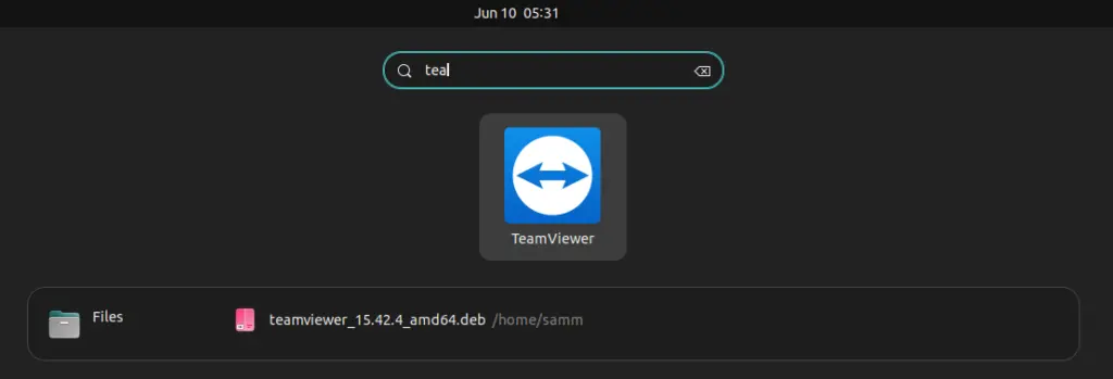 Run Aplication Teamviewer