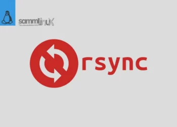 Rsync to Sync Local and Remote