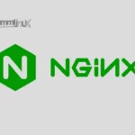 Install Nginx on Debian 11