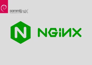 Install Nginx on Debian 11