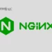 Install Nginx on Debian 11