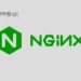 Install Nginx on Ubuntu