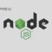 Install and Setup Node.js on Debian 11