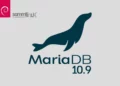 Install MariaDB 10.9 on Debian 11