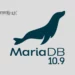 Install MariaDB 10.9 on Debian 11
