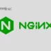 Install Nginx on Rocky Linux 9