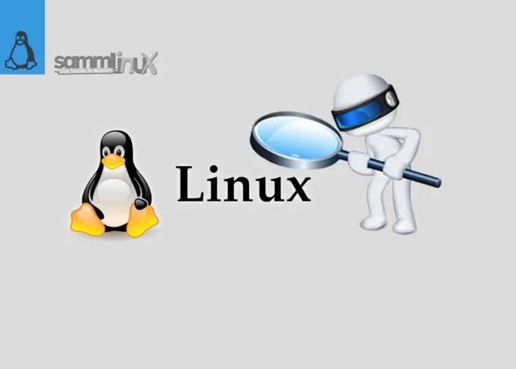 Search for Files in Linux