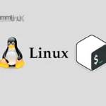 Basic Linux Commands for Beginners