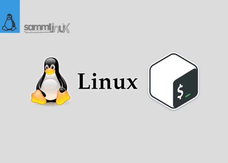 Basic Linux Commands for Beginners